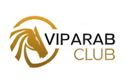 VipArabClub Casino logo