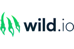Wild.io Casino
