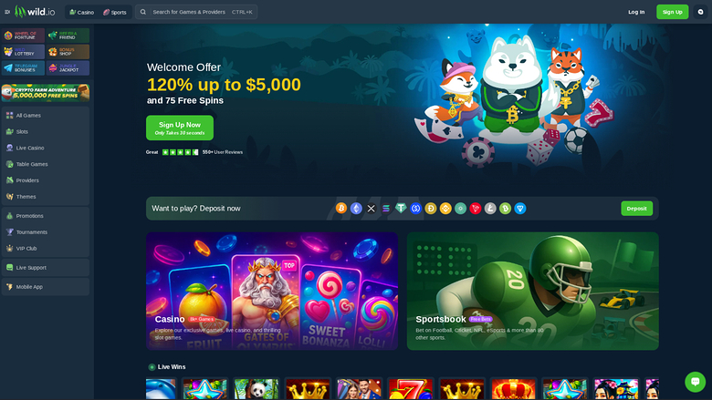 A Wild.io online casino homepage showing a welcome offer hero banner, a deposit payment strip, and Casino and Sportsbook category tiles above a Live Wins row.
