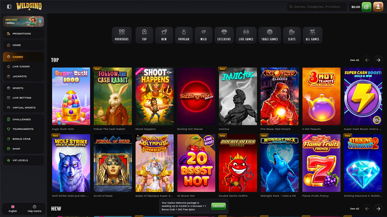 A desktop online casino lobby page for Wildsino showing a left sidebar menu, a top game-category filter bar, and a grid of game tiles under a TOP heading.