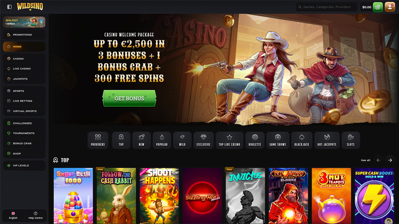 A Wildsino online casino lobby screen showing a welcome bonus hero banner, a horizontal category bar, and a row of game tiles under a TOP heading.