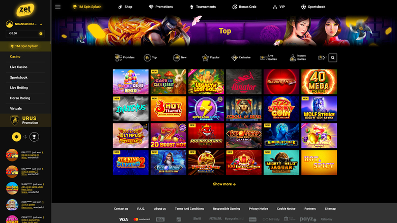 A desktop online casino lobby for 'Zet Casino' showing a left sidebar menu, a top promotional banner, and a grid of game tiles under a 'Top' heading.