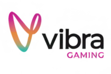 Vibra Gaming